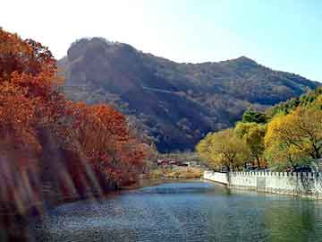 新澳天天开奖资料大全旅游团，草根血剑最新